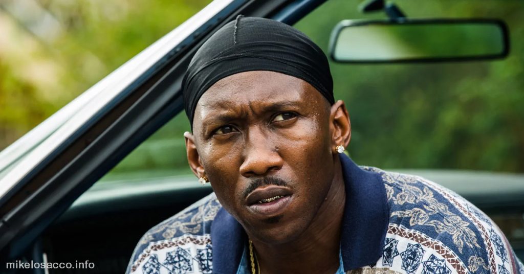 Mahershala Ali เข้าเรียนวิทยาลัยด้วยทุนบาสเก็ตบอลก่อนที่จะค้นพบความรักในการแสดง เขากลายเป็นซีรีส์ประจำเรื่อง Crossing Jordanในปี 2544
