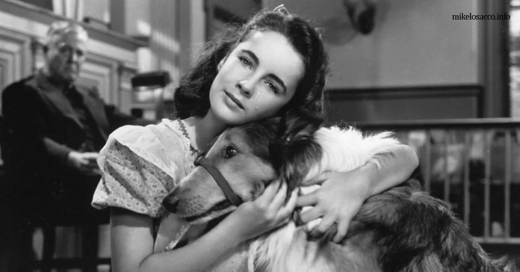 Elizabeth Taylor เอลิซาเบธ เทย์เลอร์ เกิดเมื่อพ.ศ. 2475 ที่ลอนดอน พ่อแม่ของเธอเป็นนักแสดงชาวอเมริกันที่ทำงานในบริเตนใหญ่ ในปี 1939